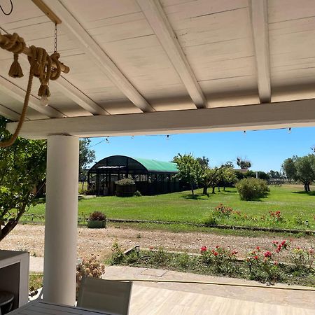 Villa Olga ตาร์กวิเนีย ภายนอก รูปภาพ