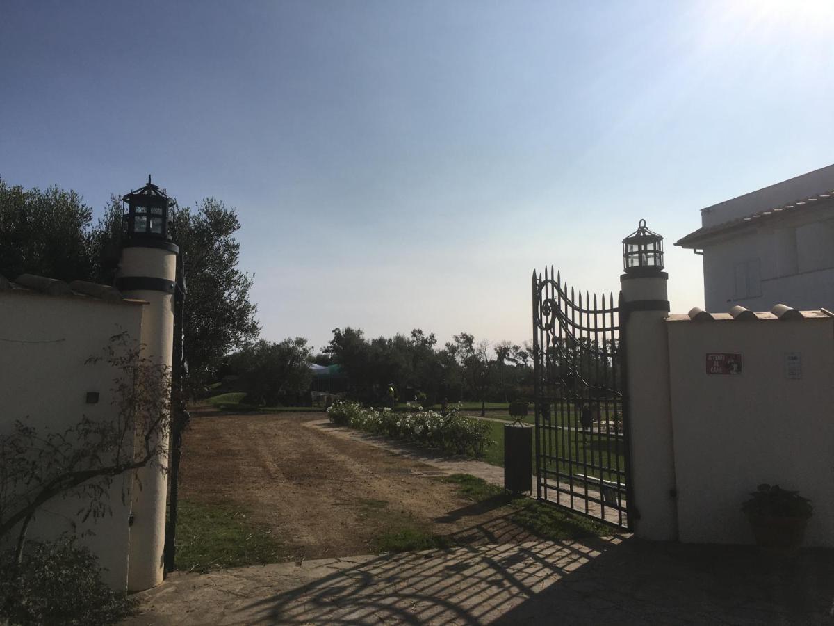 Villa Olga ตาร์กวิเนีย ภายนอก รูปภาพ