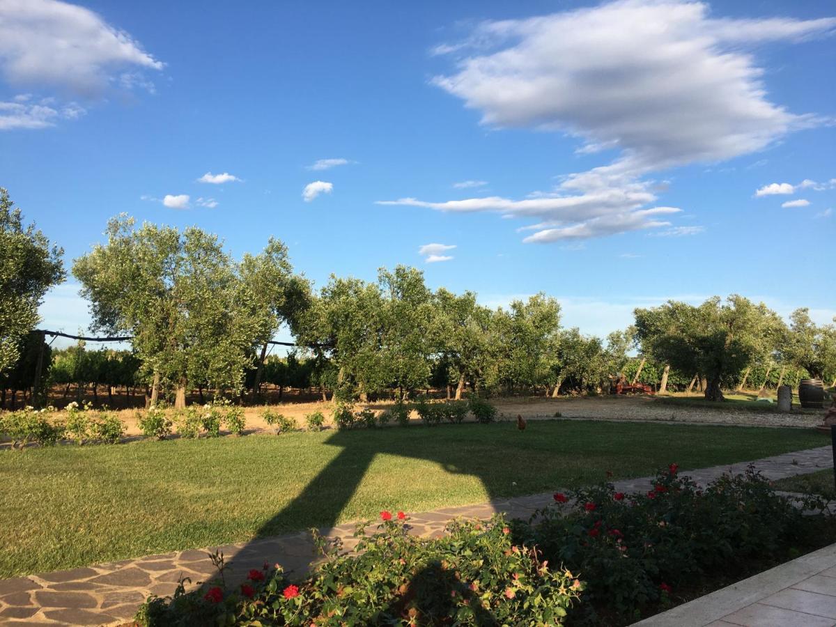 Villa Olga ตาร์กวิเนีย ภายนอก รูปภาพ