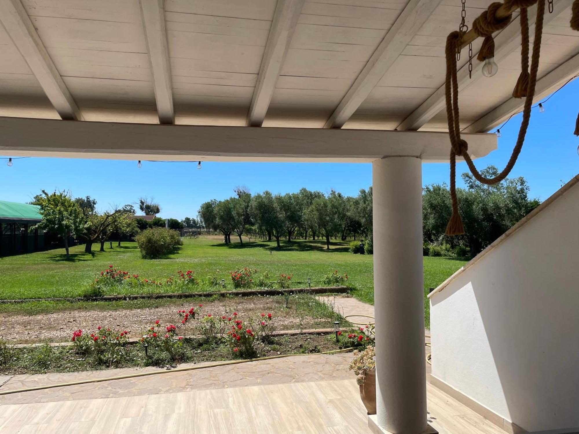 Villa Olga ตาร์กวิเนีย ภายนอก รูปภาพ